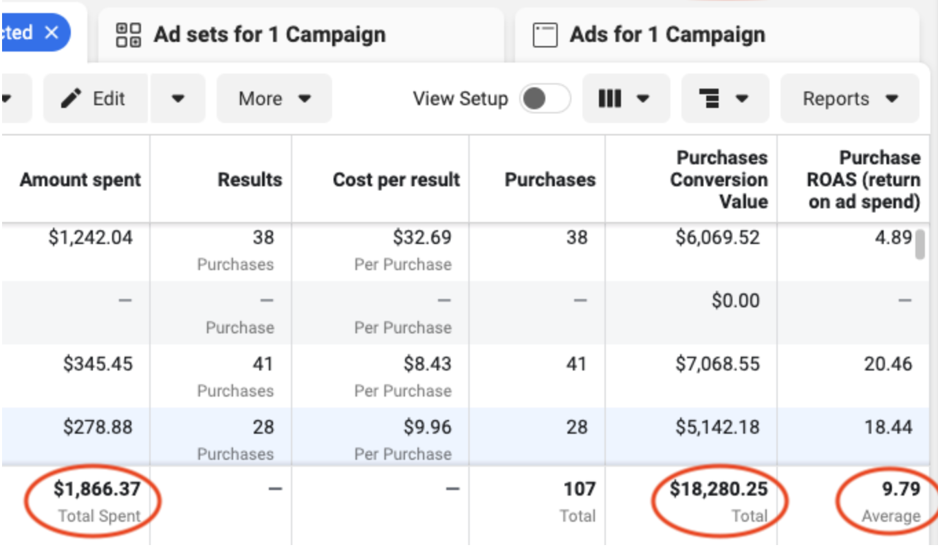 9.7 ROAS within first month Meta Ads Results